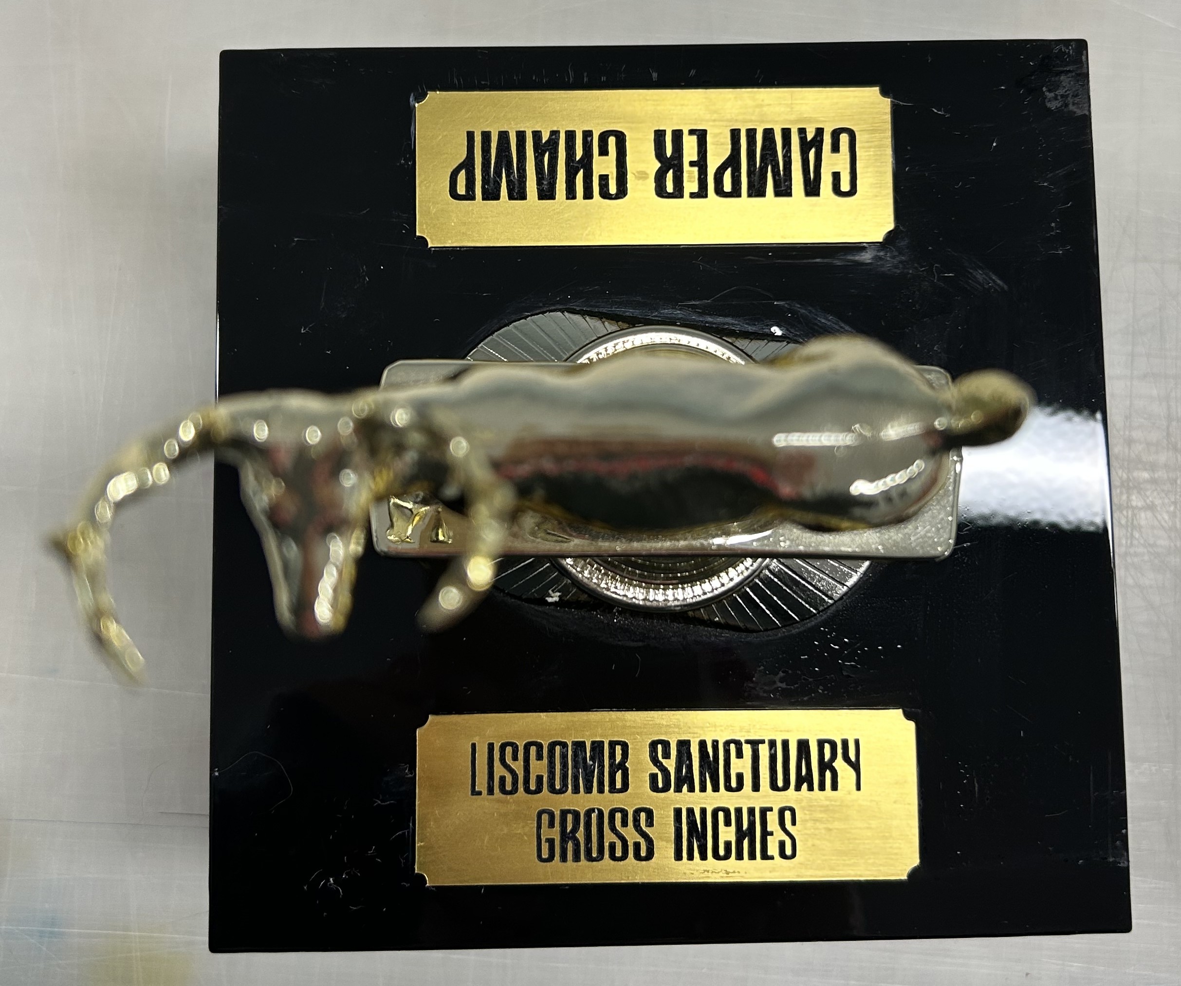 Trophy & Plaque Engraving - Awards